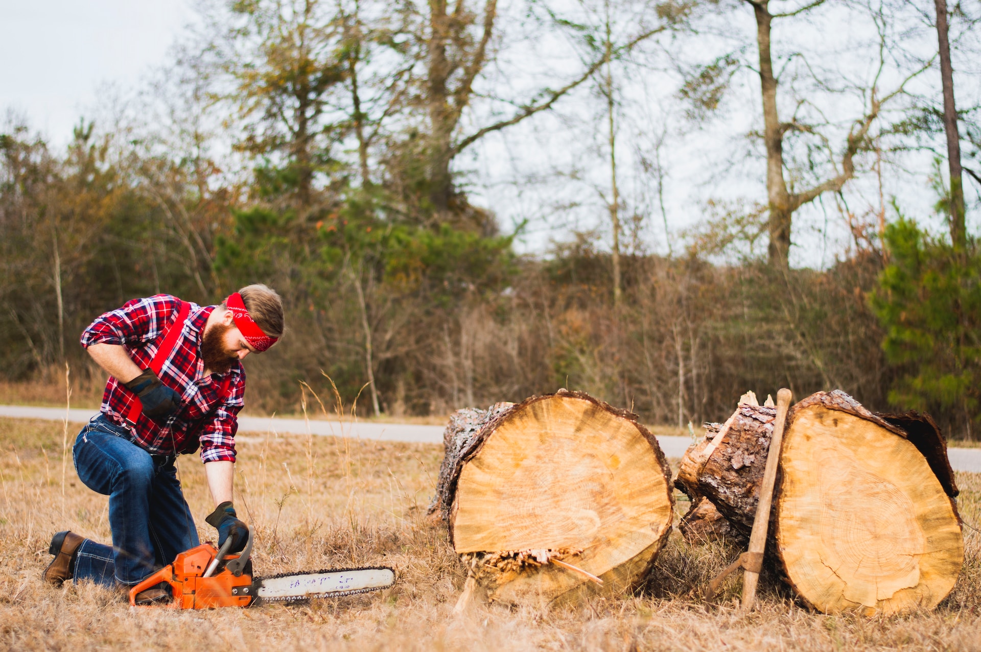 Petrol vs Electric Chainsaws: Which Should You Buy? – GYC